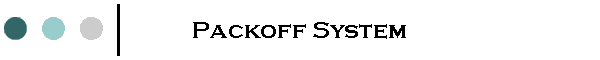 Packoff System